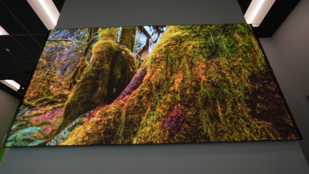 Vibrant photo of moss-covered tree trunks indoors, framed by a modern ceiling with recessed lighting.
